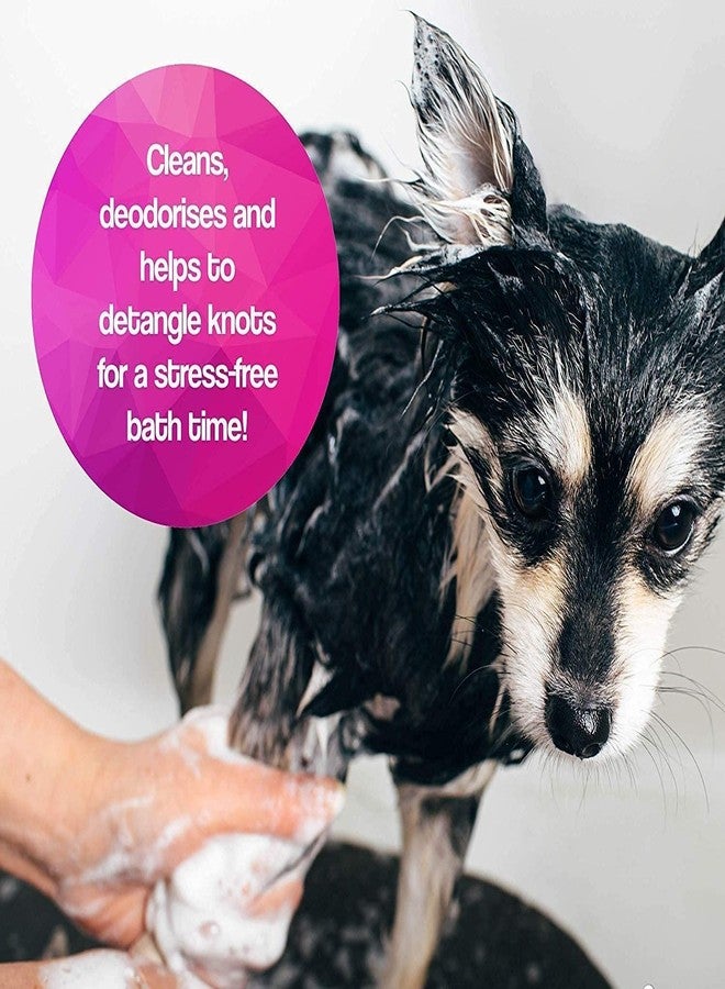 DOGTOWN Oh My Dog Oatmeal & Itch Relief Ultimate Pet Shampoo - Paraben Free, (1000ML, Berry and Coconut) - Image 4